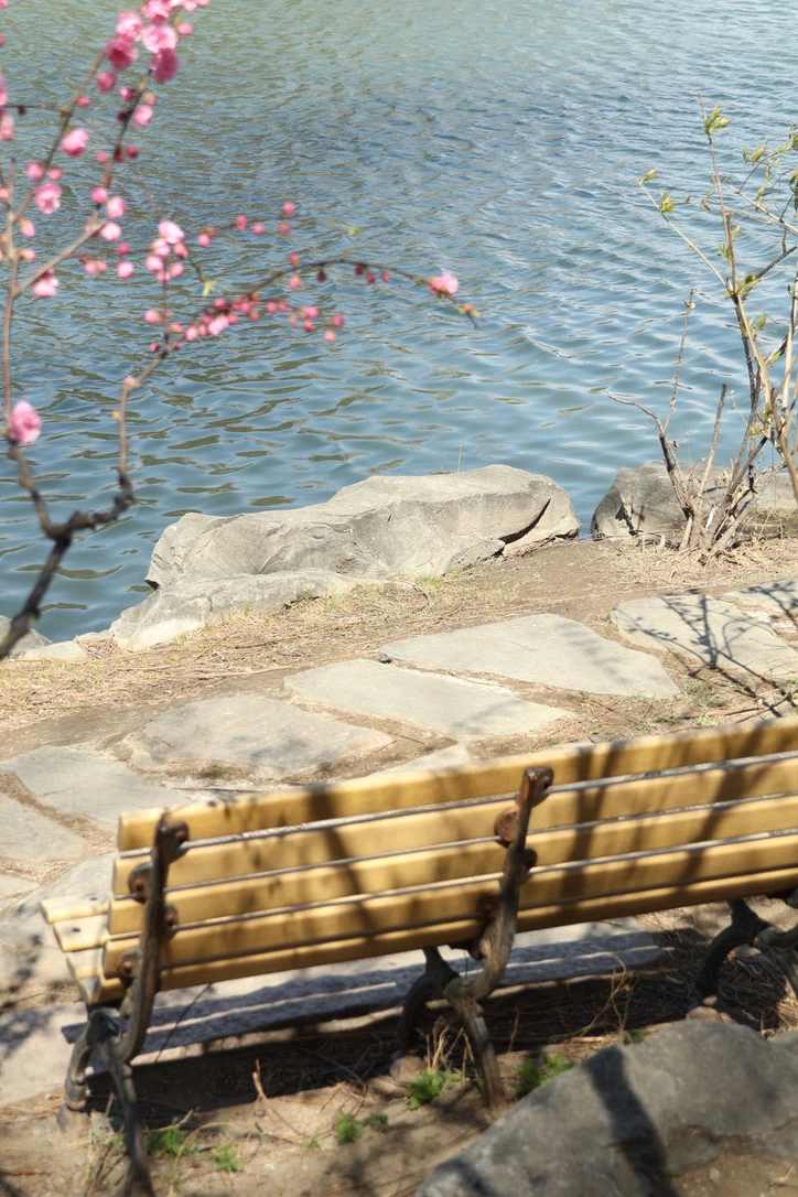 Lake Spring2