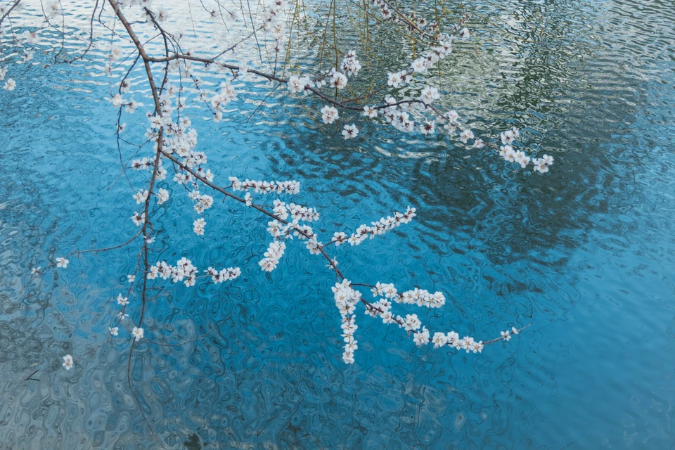 Spring