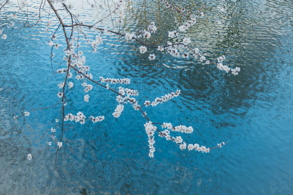Lake Spring