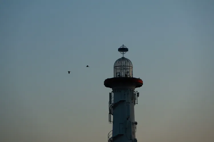 Media Albums 2025summer Danube