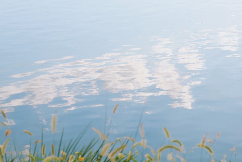 Lake Summer