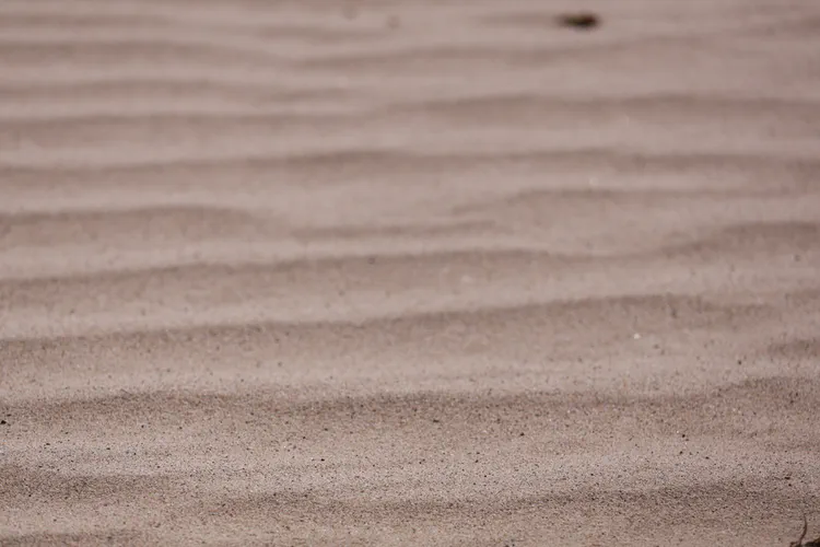 Media Albums 2025summer Sand Northwest