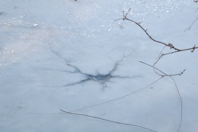 Media Albums 2025winter Lake Ice