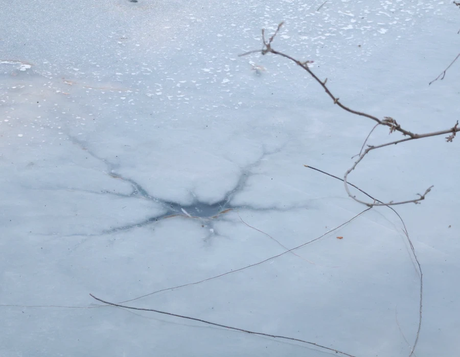 Lake Ice