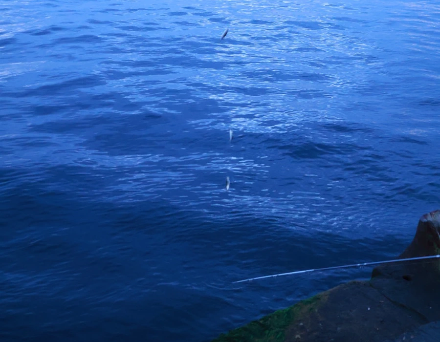 Sea Istanbul