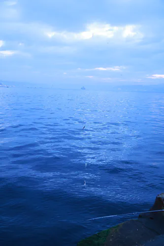 Media Albums 2025winter Sea Istanbul