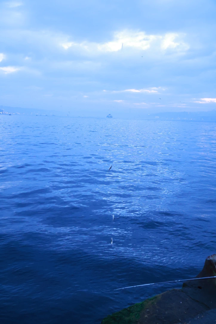 Sea Istanbul