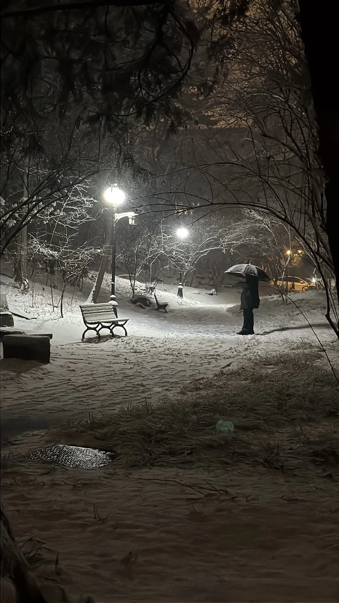 Snowy Night