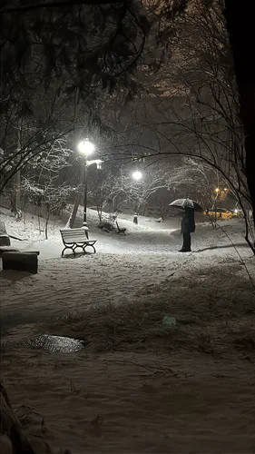 Media Albums 2025winter Snowy Night