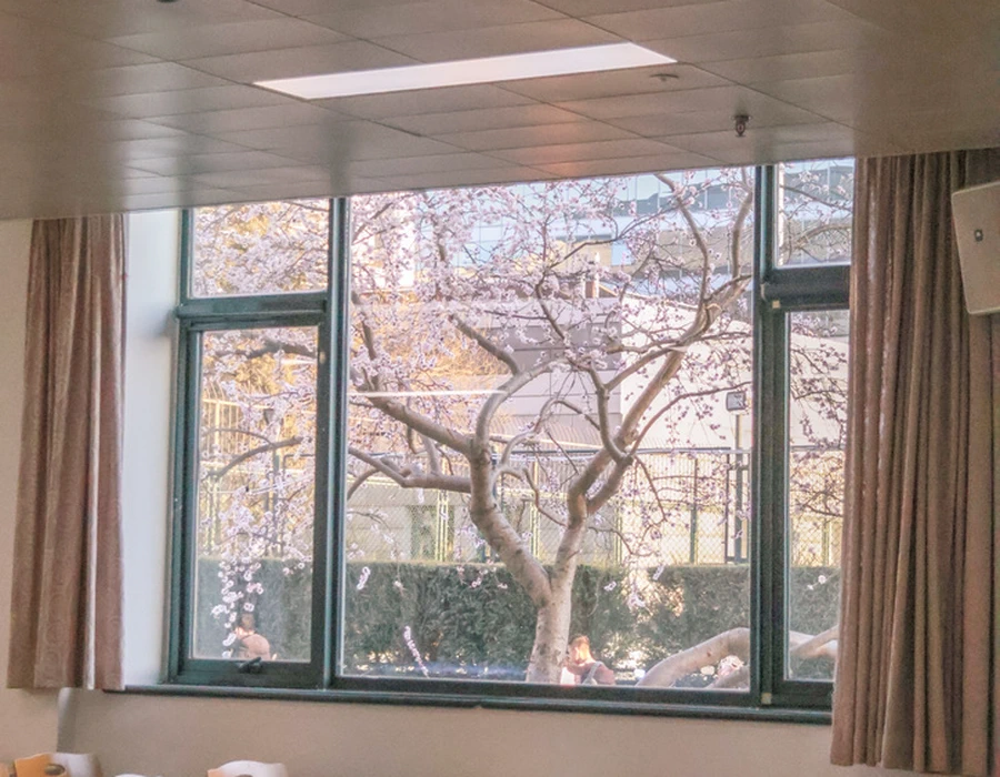Flower Classroom
