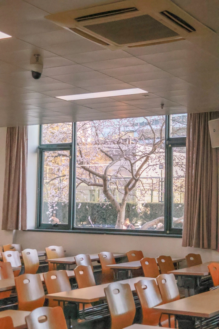 Flower Classroom