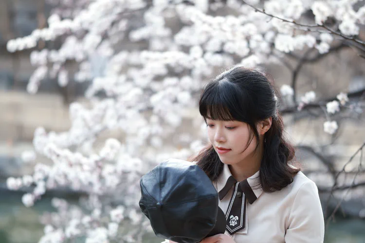 Media Albums 2026spring Me Flower3