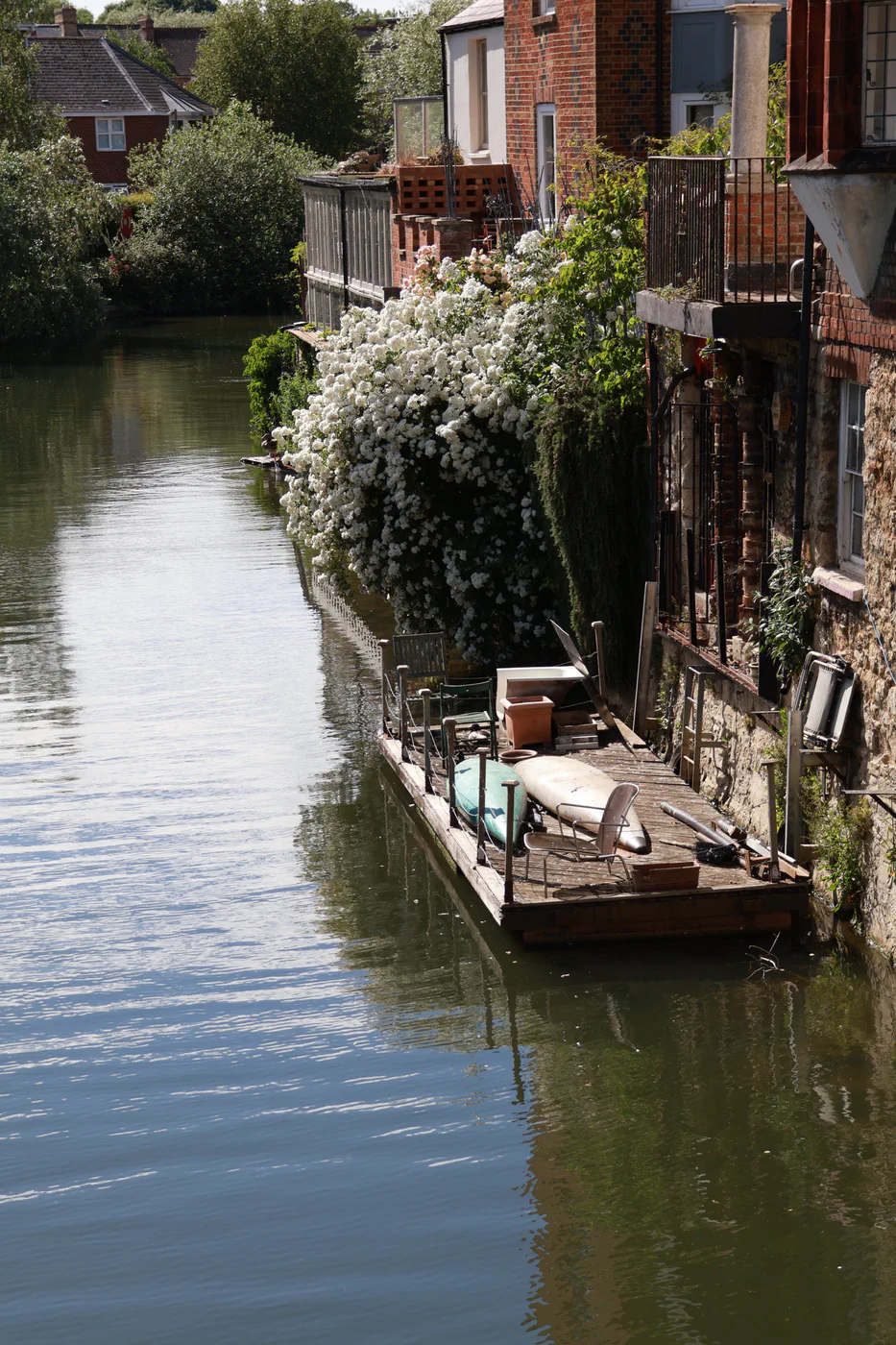 Riverside Bloom