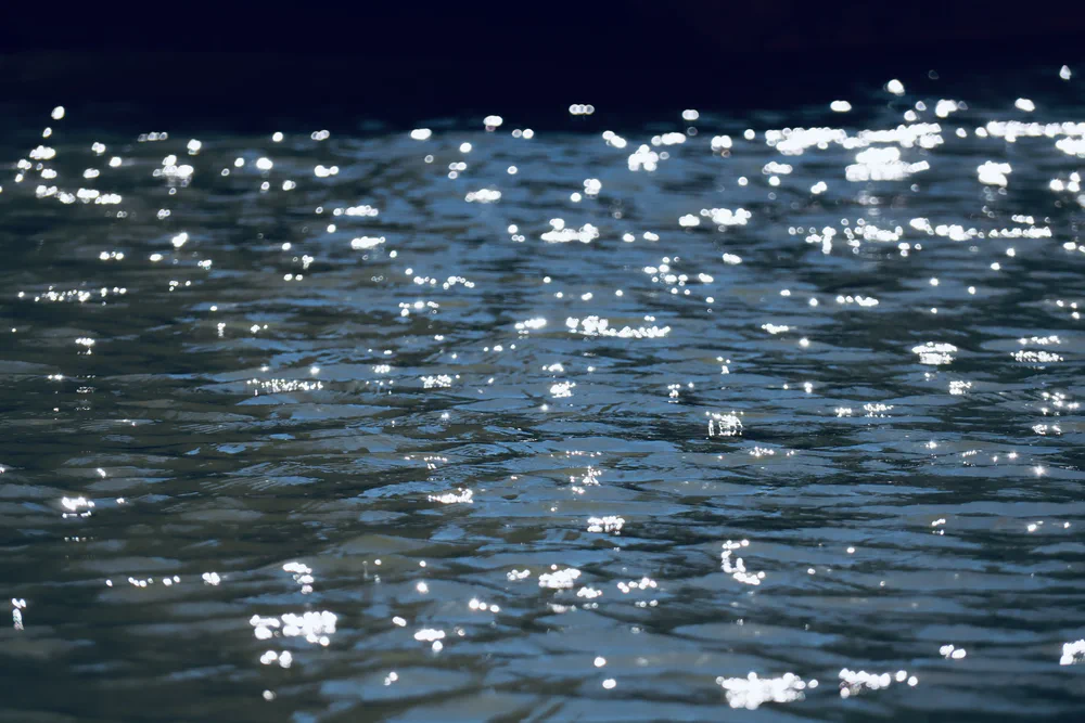 Scattered Sunlight